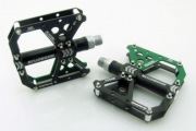 Pedals & Pegs,2016-12H