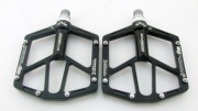 Pedals & Pegs,2016-12F