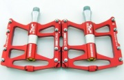 Pedals & Pegs,2016-12E